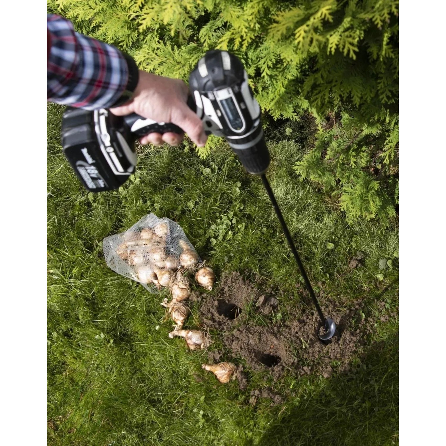 Westfalia Pflanzbohrer-Set im Einsatz: Löcher bohren für Blumenzwiebeln im Garten.