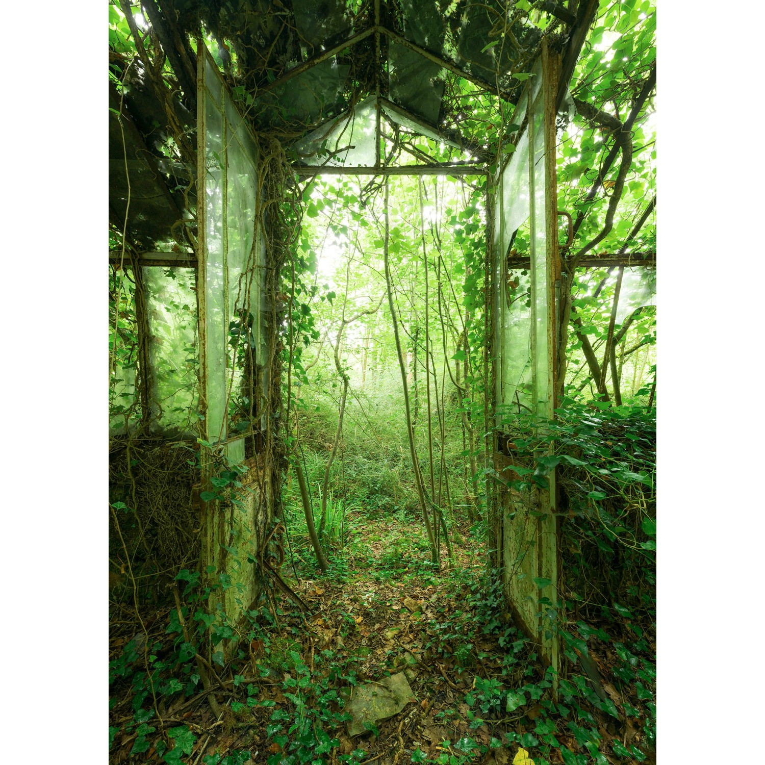 Komar Vliesfototapete Greenhouse 200 cm x 250 cm günstig online kaufen