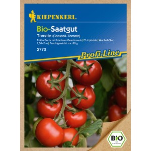 Kiepenkerl Cocktail-Tomate Bolstar Gimli F1 Bio Samen mit roten Tomaten an der Rispe.