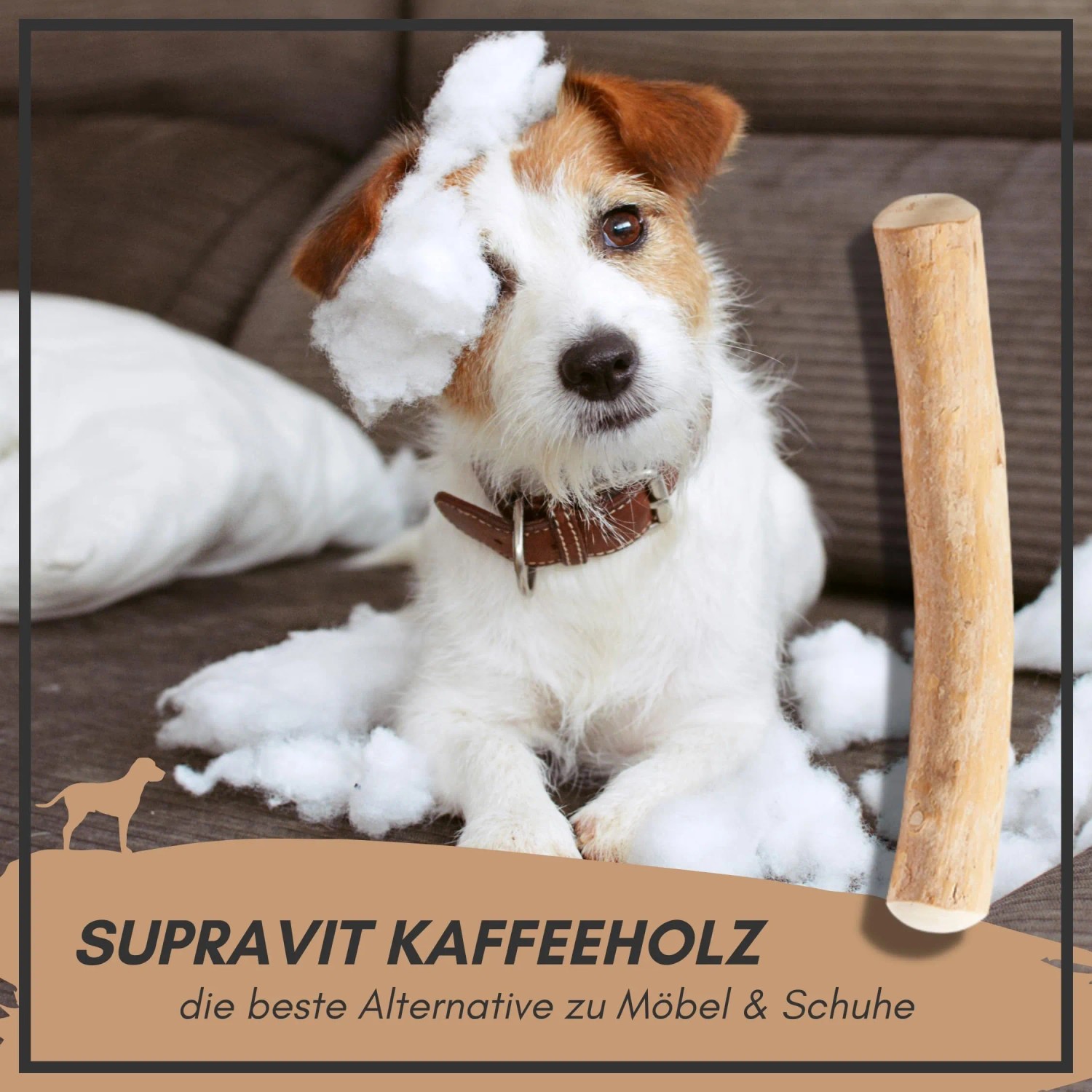 Supravit Kaffeeholz Kauknochen Größe S Kauspielzeug für Hunde_7