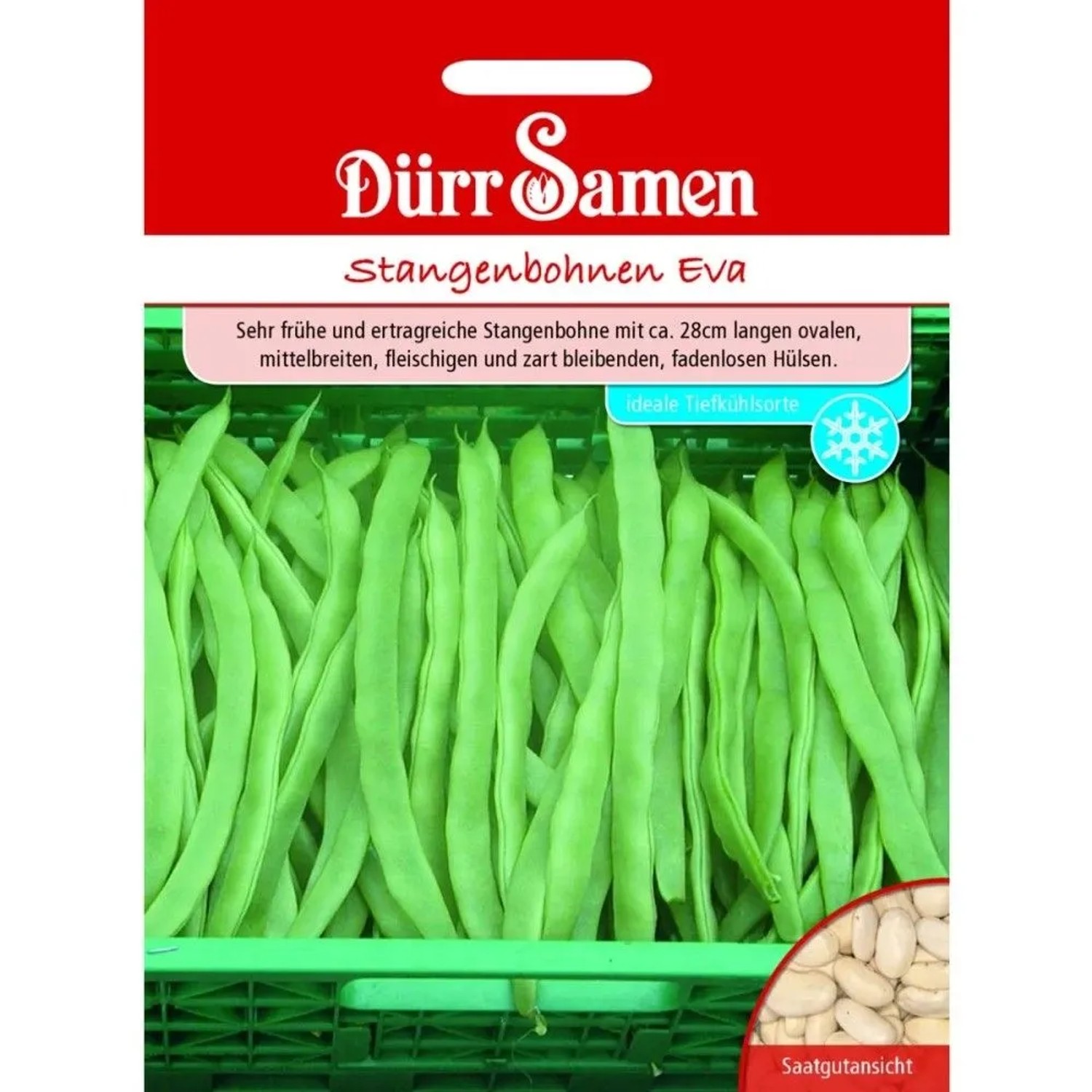 Dürr Samen Stangenbohnen Eva Saatgut