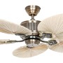 CASAFAN Deckenventilator Caribbean Dream Eco II mit Palmenflügeln und Messing-Optik.