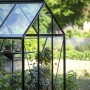 Halls Gewächshaus Popular, 6,2 m², schwarz, mit Pflanzen. Ideal für Garten und Pflanzenzucht.