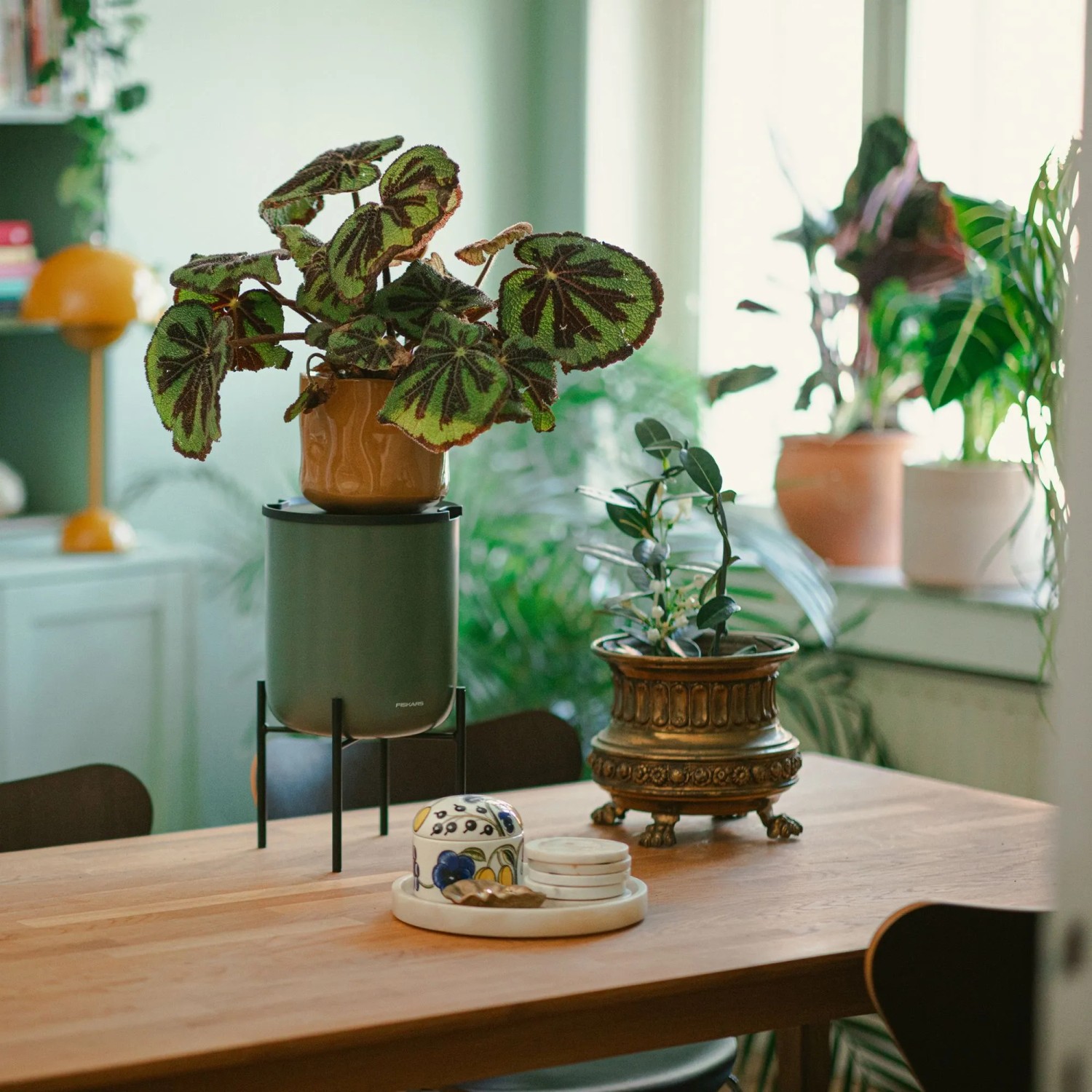 Fiskars Selbstbewsserungssystem Urban Plant Care Grn kaufen bei OBI