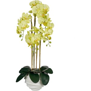 Grüne Mica Decorations Kunstpflanze Phalaenopsis im weißen Topf, 82cm hoch.