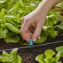 Gardena Kleinflächendüse im Einsatz zur Bewässerung von Salat im Micro-Drip-System.