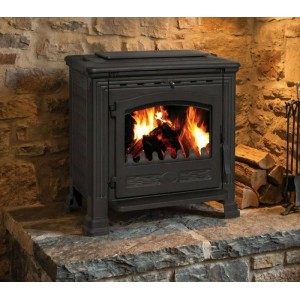 Plamen Gusskaminofen Tena mit Herdplatte, 9,5 kW, aus Gusseisen mit Feuer im Brennraum.