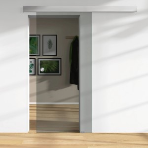 Graue Glasschiebetür ESG, 2060x940 mm, ohne Schienen-Set. Ideal für modernes Wohnen.