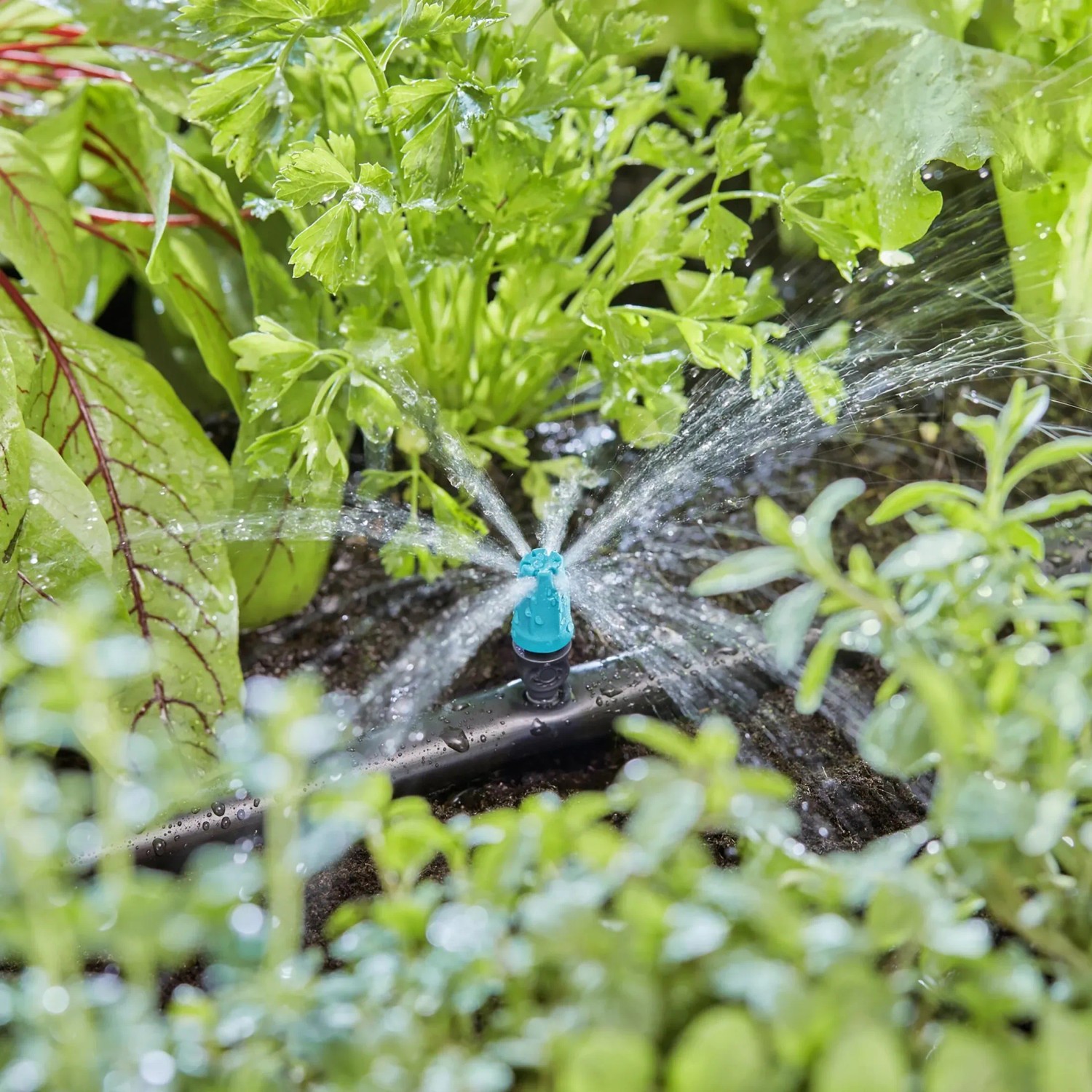 Gardena Kleinflächendüse im Einsatz: Bewässerung von Blumenbeet mit Micro-Drip-System, 10er-Set.