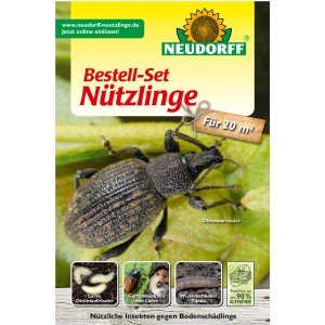 Neudorff Nützlinge Bestell-Set gegen Bodenschädlinge, zeigt Dickmaulrüssler und Larven.