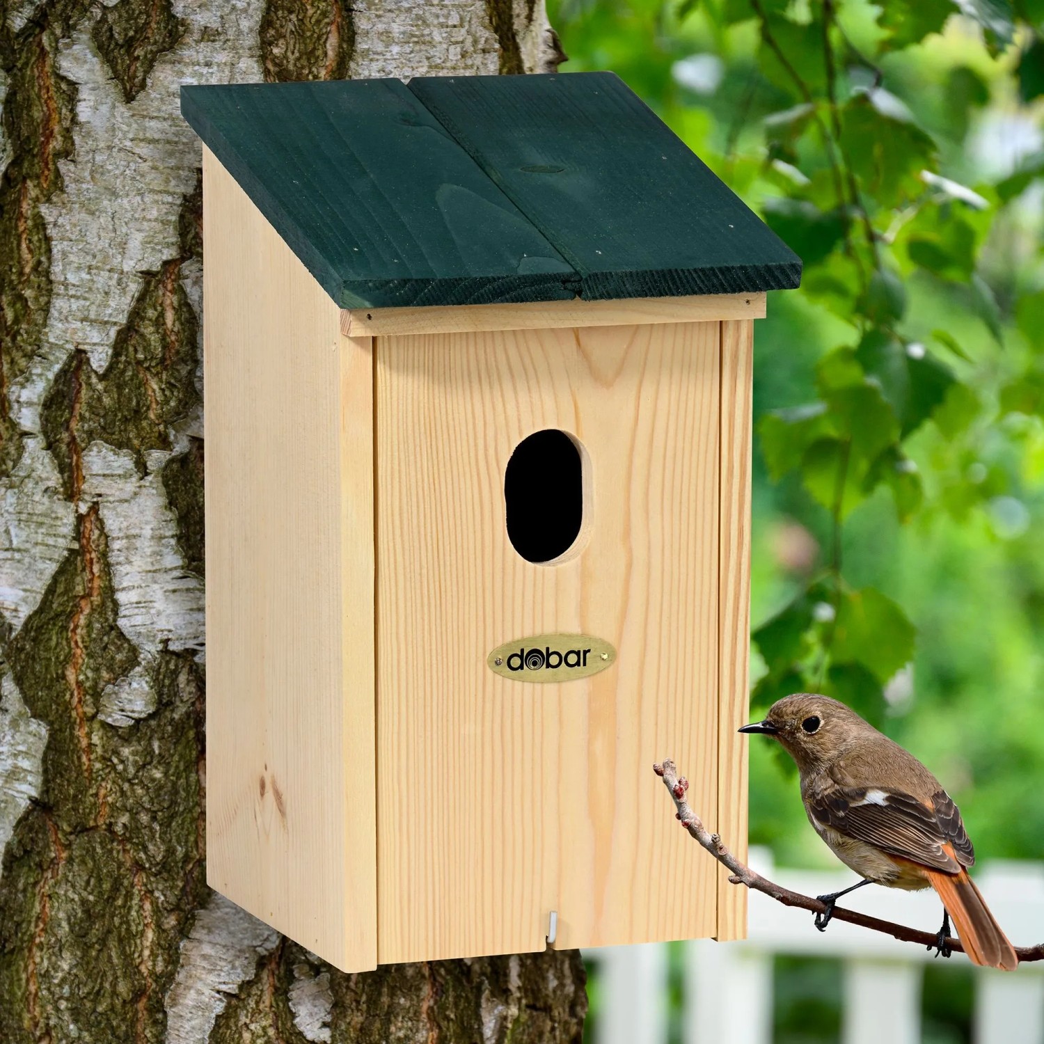 Dobar Nistkasten Vobu aus hellem Kiefernholz mit grünem Flachdach am Baum, daneben ein Gartenrotschwanz.