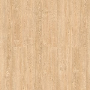 Classen Laminat Grande XXL Eiche Chantilly Sand, wasserfest, 8mm stark.