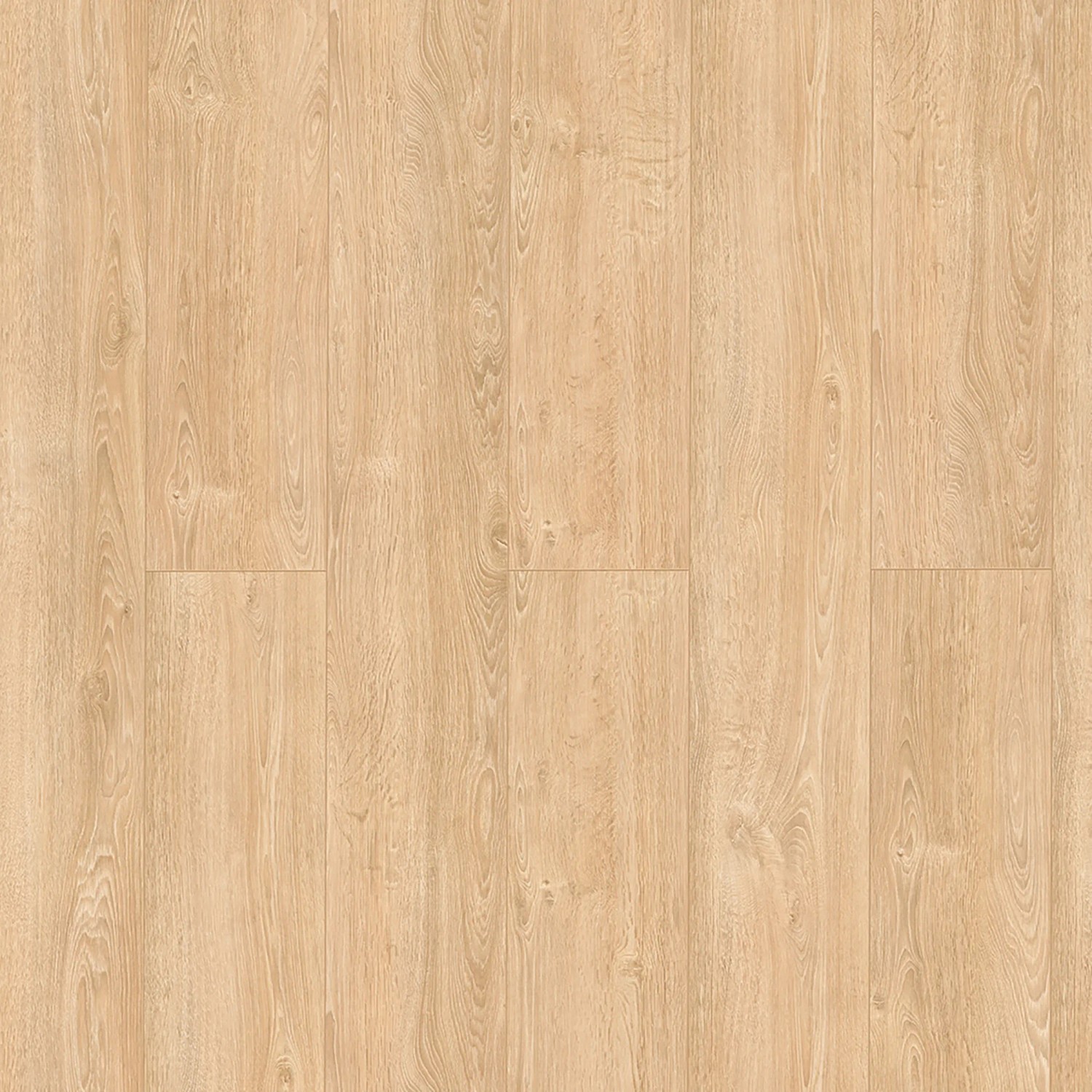 Classen Laminat Grande XXL Eiche Chantilly Sand, wasserfest, 8mm stark.