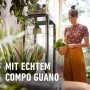 Frau mit Grünpflanze, im Vordergrund Werbung für Compo Düngestäbchen mit Guano.