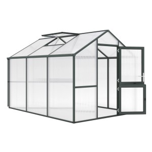 KGT Gewächshaus Tannengrün, 7,53 m², mit geöffneter Tür und Dachfenster.
