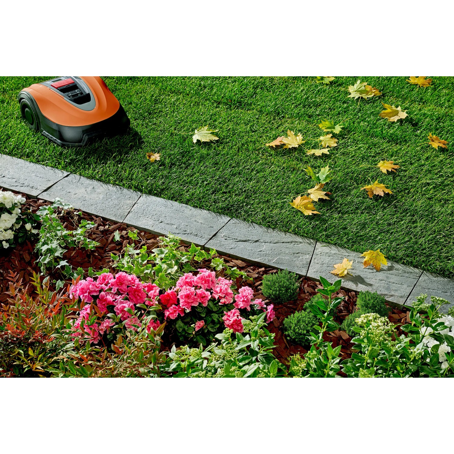 Grau-anthrazitfarbene Kann Rasenkante Nativa (35 cm) zwischen Rasen und Blumenbeet, mit Mähroboter.