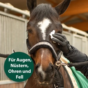 Pferd wird mit Equisept Pflegetuch gereinigt. Universal Pflegetücher für Augen, Nüstern, Ohren und Fell.