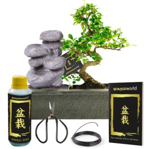 Vdvelde Bonsai Baum S Form   Zen Wasserfall   Inkl Schere Und Nahrung