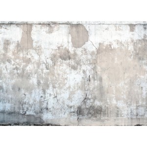 Erismann Fototapete Vlies Industria Grau, Motiv: Putzwand mit Rissen, 350x270 cm.