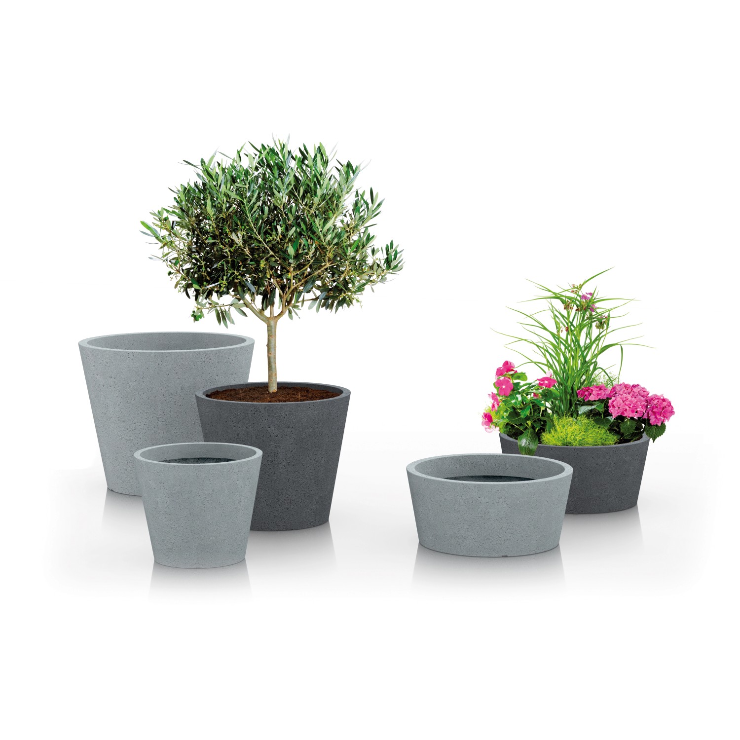 Scheurich C-Cone Pflanzgefäße in Stony Grey, verschiedene Größen und Bepflanzungen.