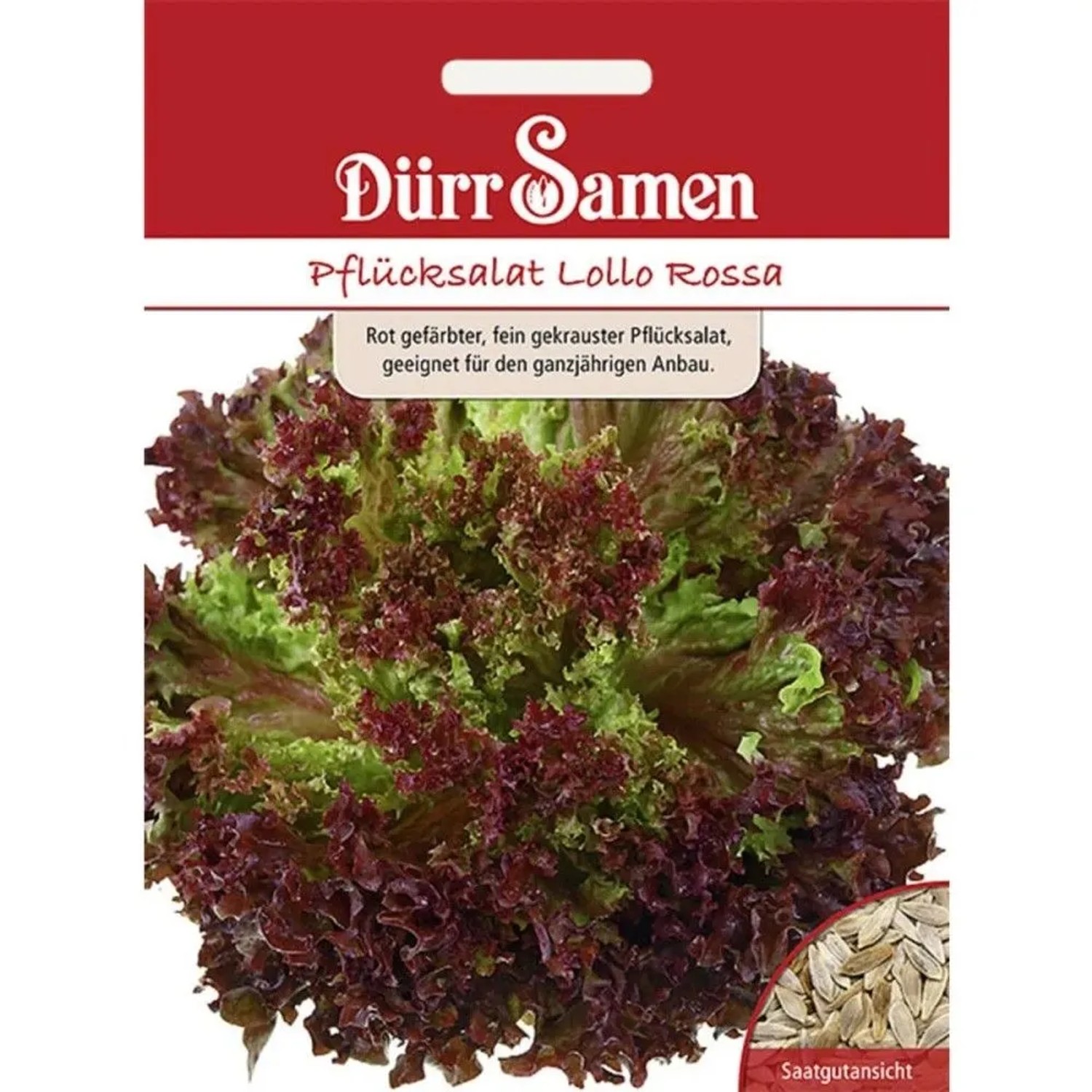 Dürr Samen Pflücksalat Lollo Rossa Saatgut