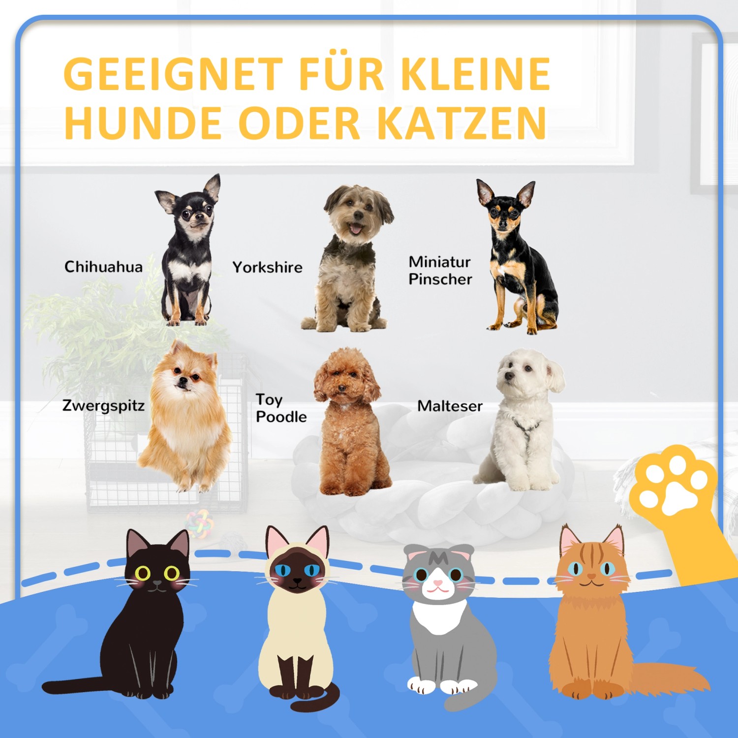Illustration: Katzen und kleine Hunde, die das PawHut Katzenbett/Kissen nutzen können.