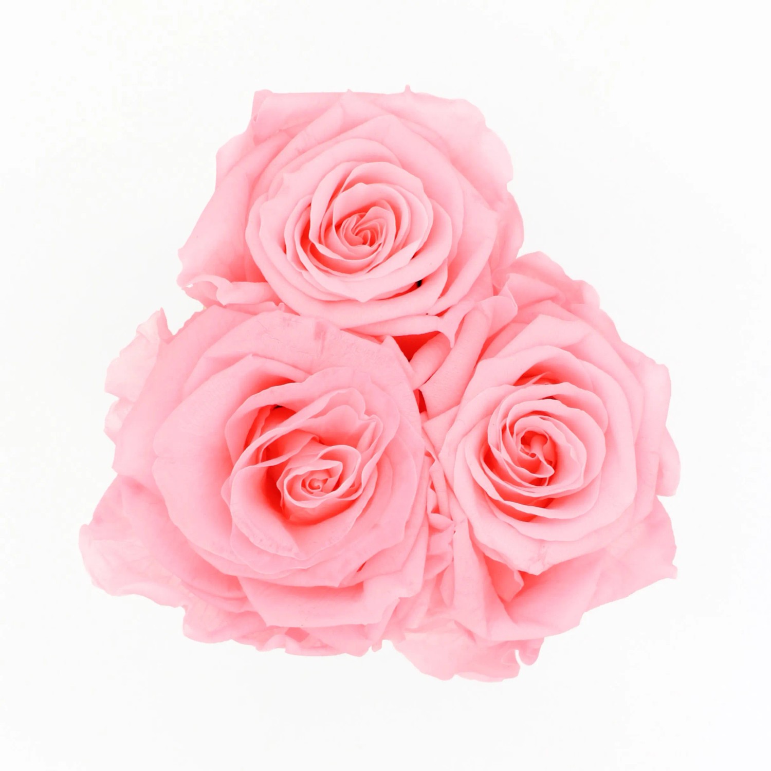 Herzförmige Rosenbox in Weiß-Gold mit drei rosa Rosenblüten als Blumenstrauß.