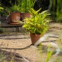 Gardena Liano Gartenschlauch-Set (20m) im Garten, zwischen Pflanzen und Töpfen.