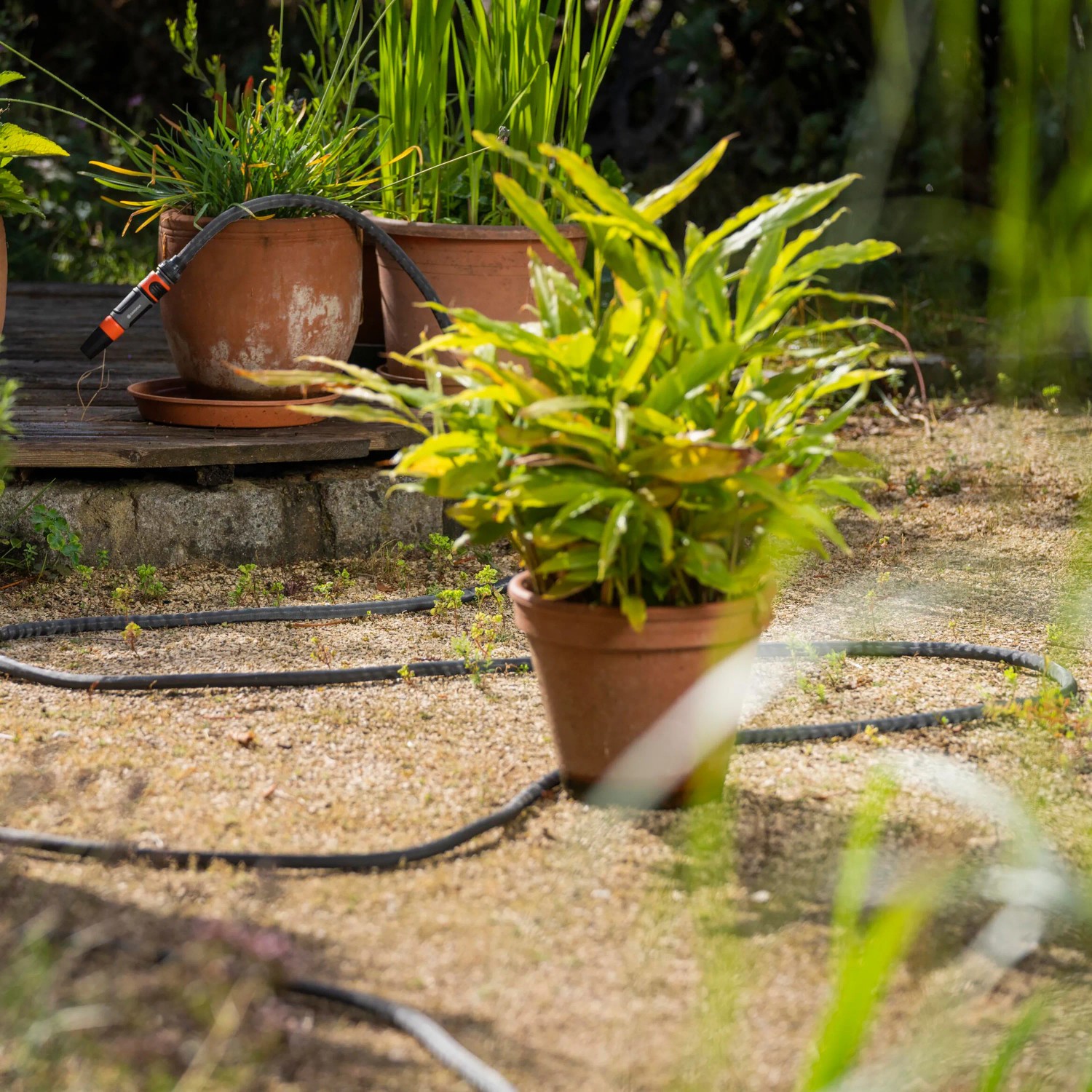 Gardena Liano Gartenschlauch-Set (20m) im Garten, zwischen Pflanzen und Töpfen.