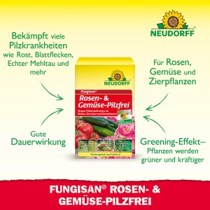 Neudorff Fungisan Rosen- und Gemüse-Pilz-Frei, Konzentrat zur Bekämpfung von Pilzkrankheiten.