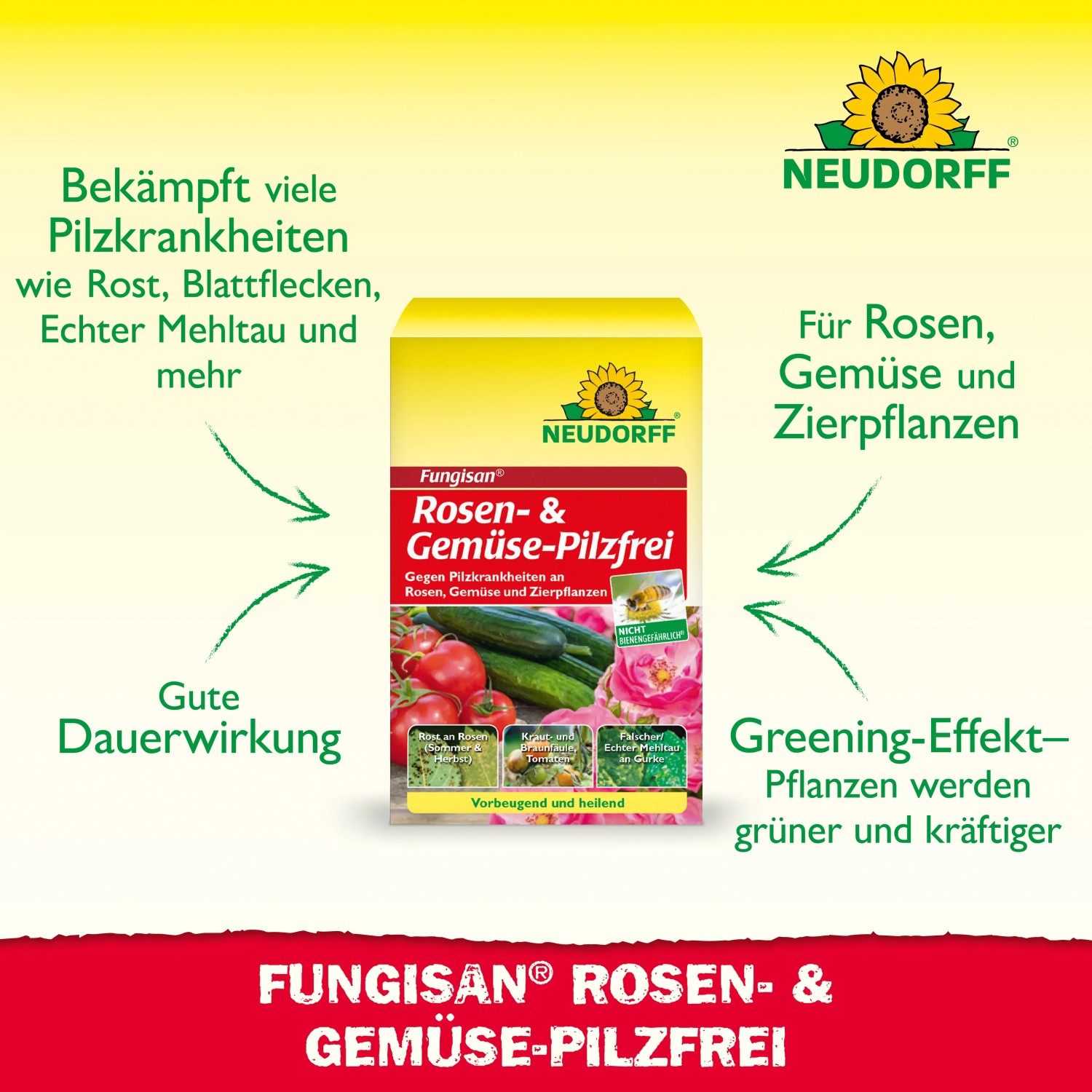 Neudorff Fungisan Rosen- und Gemüse-Pilz-Frei, Konzentrat zur Bekämpfung von Pilzkrankheiten.