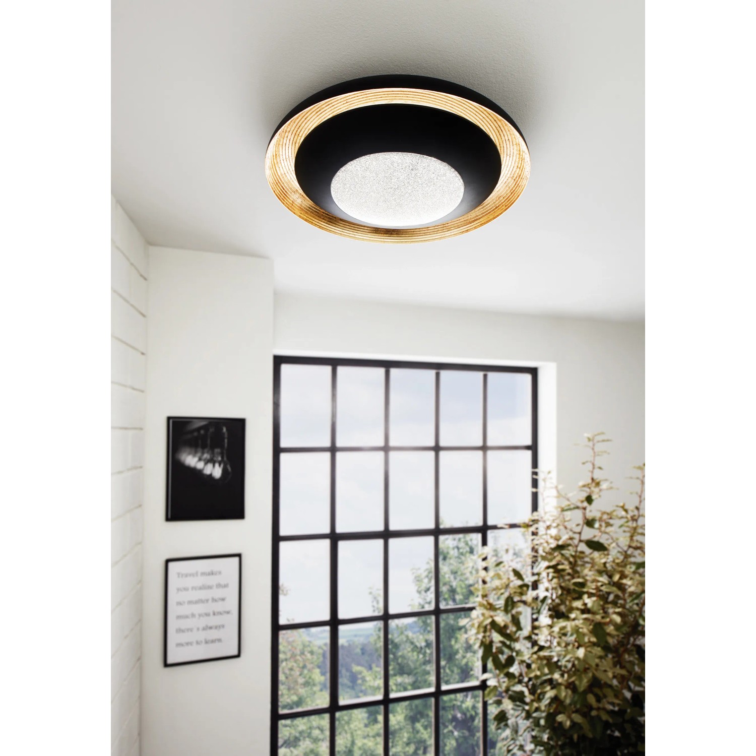 Moderne LED-Deckenleuchte Canicosa 2 von Eglo in Gold-Schwarz, Ø 49,5 cm.