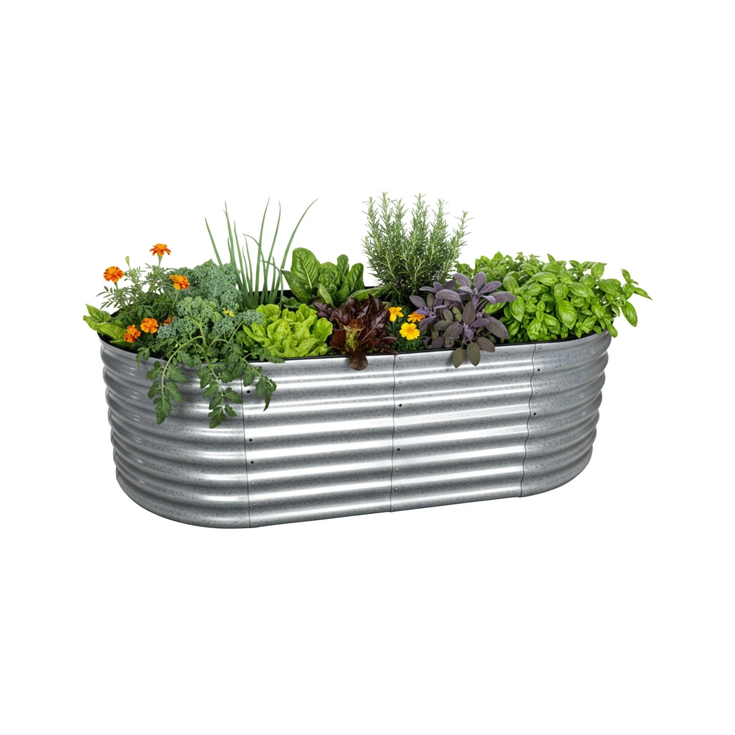 Relaxdays Hochbeet Halbrund Metall Silber Bodenfrei 60 cm x 200 cm x 100 cm 17 kg