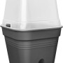 Schwarzer Elho Anzuchttopf Green Basics All-in-One mit transparenter Haube für die Pflanzenanzucht.