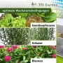 TTL Garden Frühbeet-Aufsatz: Gemüse, Kräuter und Blumen gedeihen im Hochbeet Gewächshaus.