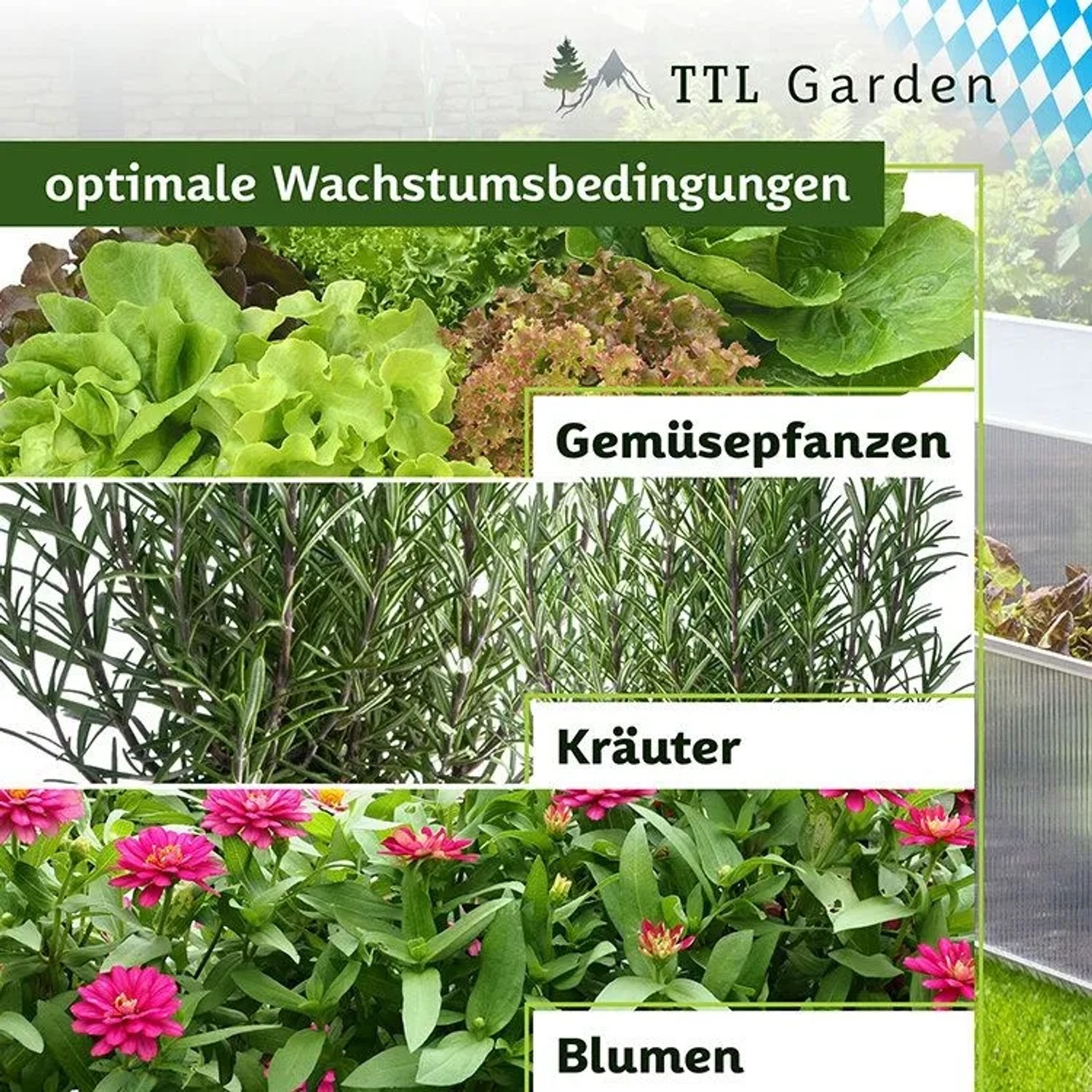 TTL Garden Frühbeet-Aufsatz: Gemüse, Kräuter und Blumen gedeihen im Hochbeet Gewächshaus.