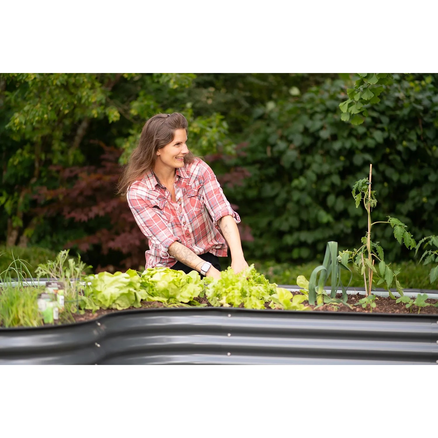 Frau gärtnert im anthrazitfarbenen Westmann Metall Hochbeet Grow Faster. Gemüse wächst.
