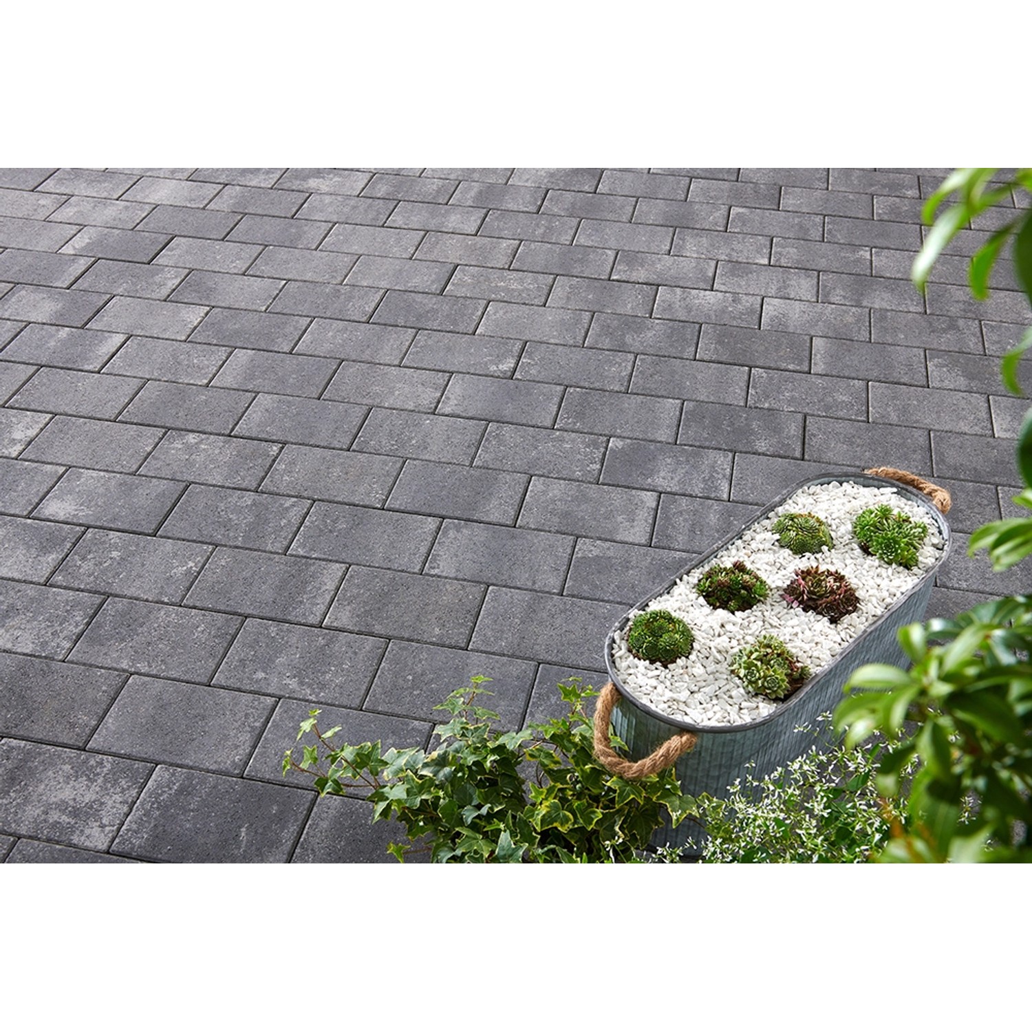 Pflaster Beton Vero AnthrazitGrau nuanciert 22,5 cm x 15 cm x 6 cm