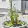 Heissner Solar-Wassergarten Lotusgarden mit Pflanzen und Lichtkugel als Teichdeko.
