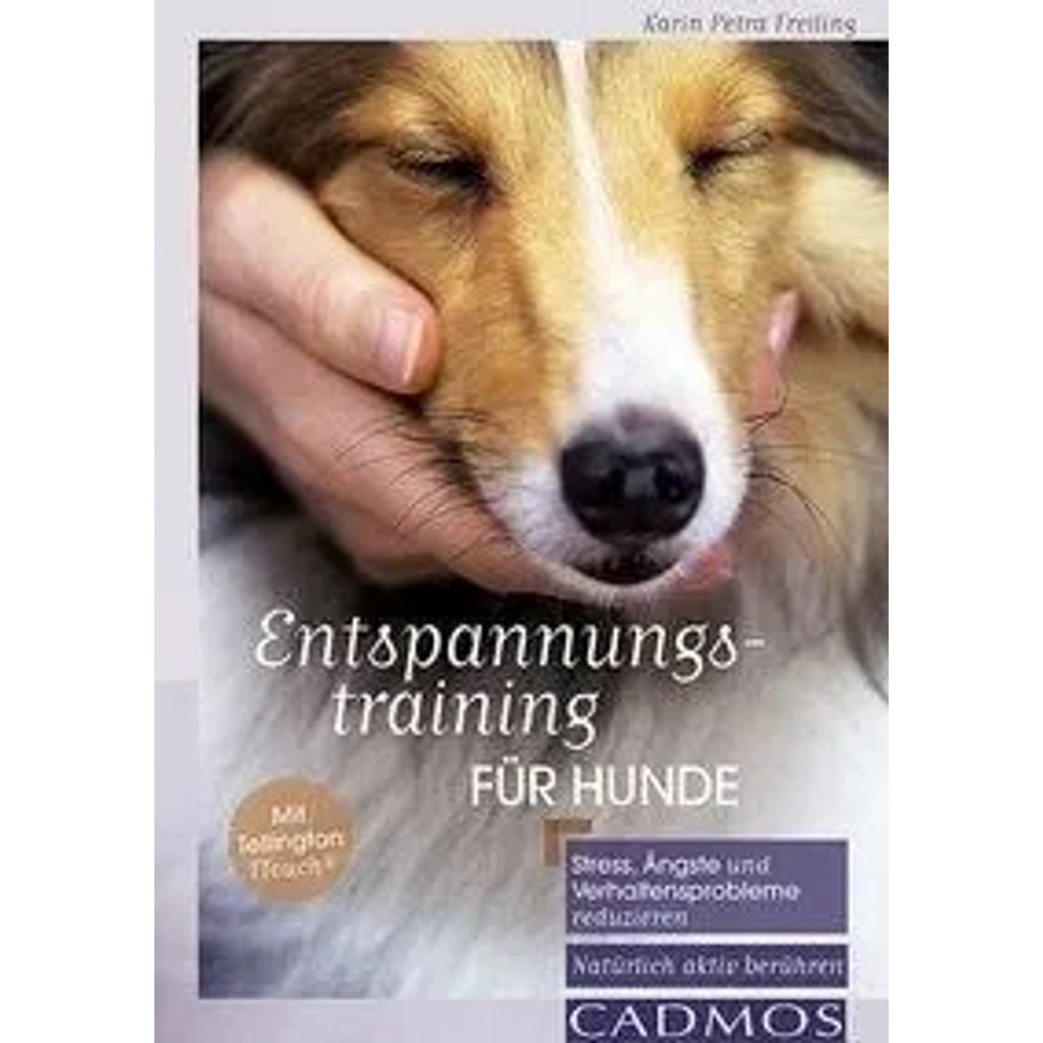 Entspannungstraining für Hunde