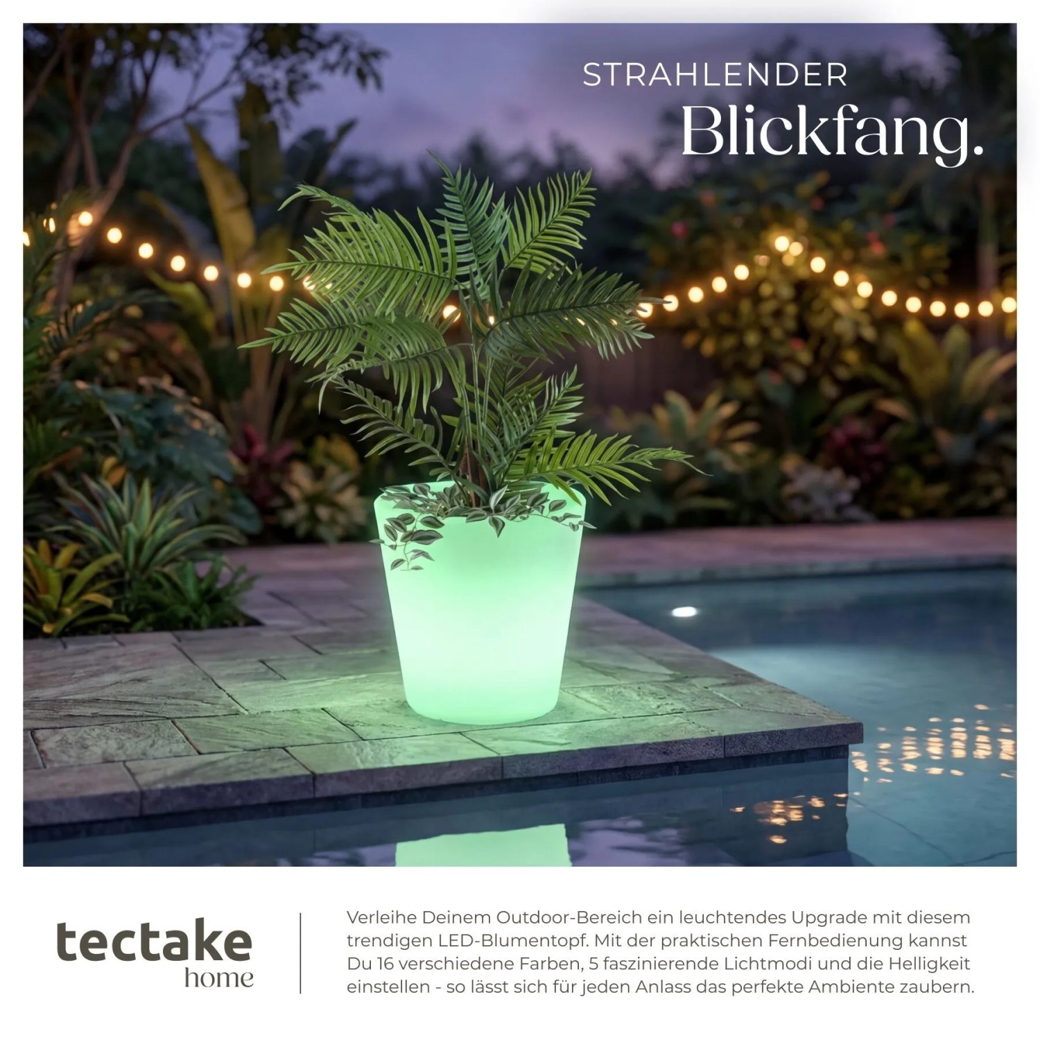 Weißer LED-Leuchtzylinder mit Pflanze, grün leuchtend, am Pool. Ideal als Blumentopf oder Sektkühler für Garten & Terrasse.