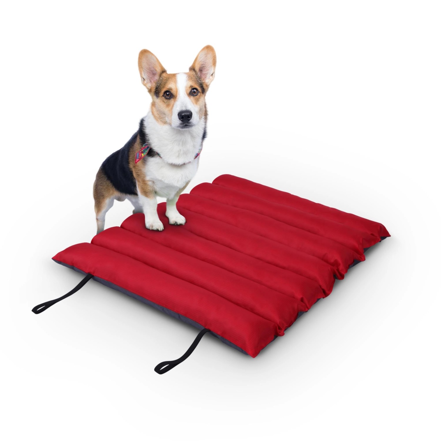 Rote, wasserabweisende Hundematte (85x70cm) mit Corgi Hund. Outdoor Hundebett.