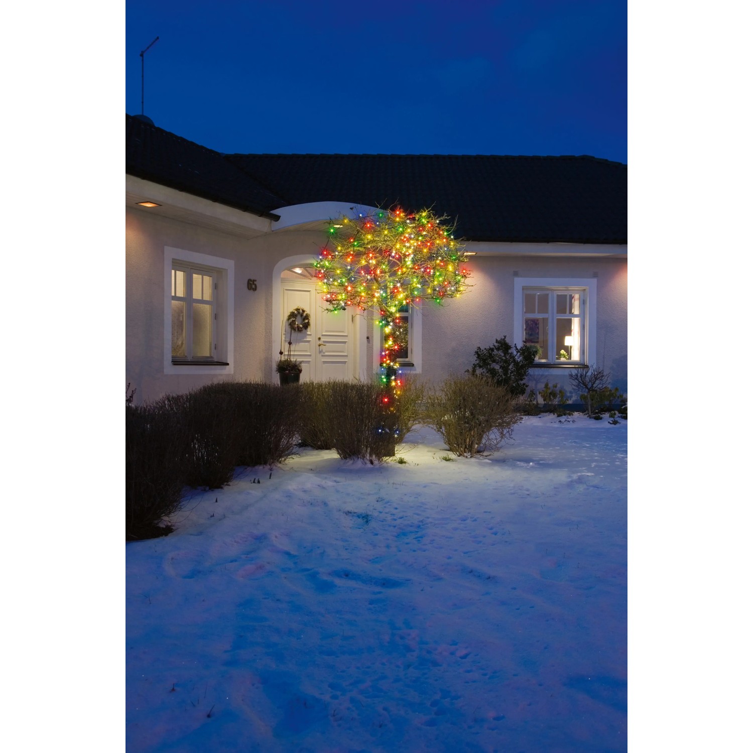 Konstsmide Micro LED Lichterkette mit 180 bunten LEDs an Baum im Garten, Außenbereich.