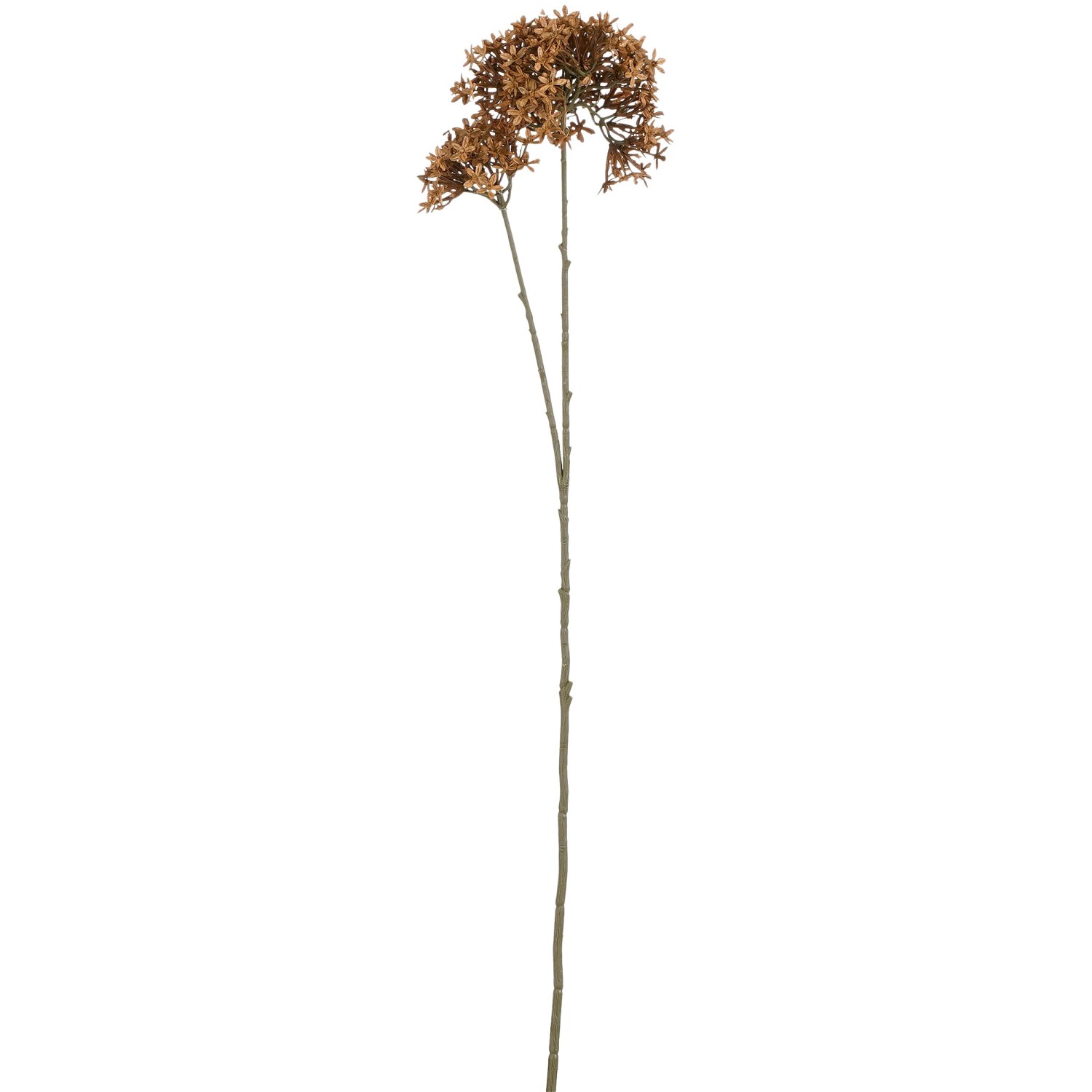 Mica Decorations Kunstpflanze Calotropis Gigantea 70 cm x 18 cm x 10 cm Braun