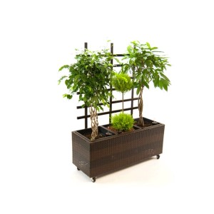 Rechteckiger, brauner Polyrattan Pflanzkübel mit Rankgitter und Pflanzen, 82x30x100cm.