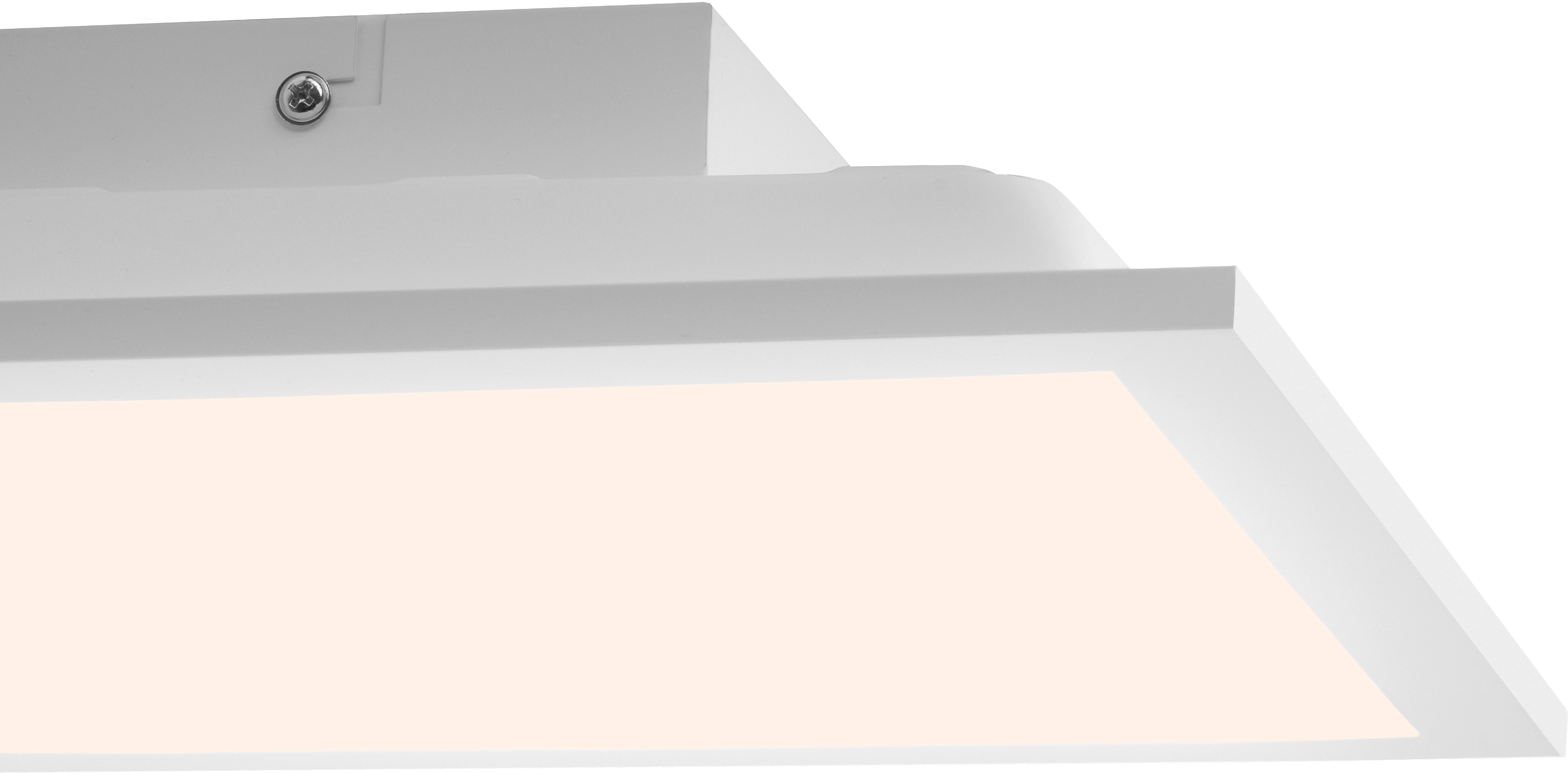 Paul Neuhaus LED-Deckenleuchte Fleet Weiß IP20 kaufen bei OBI
