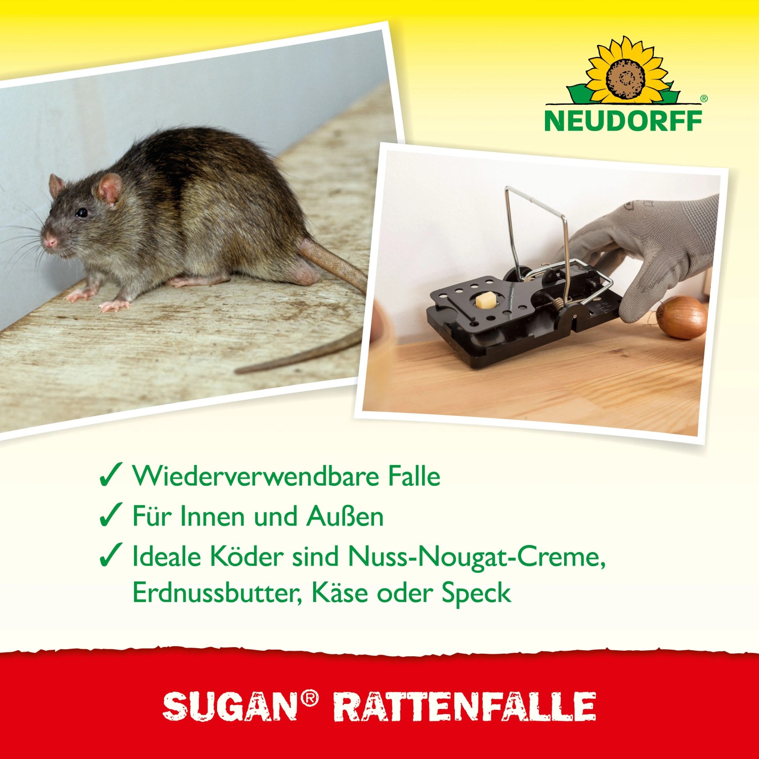 Neudorff Sugan Rattenfalle aus Kunststoff und Stahl. Eine Ratte und eine Hand, die die Falle mit Köder spannt.