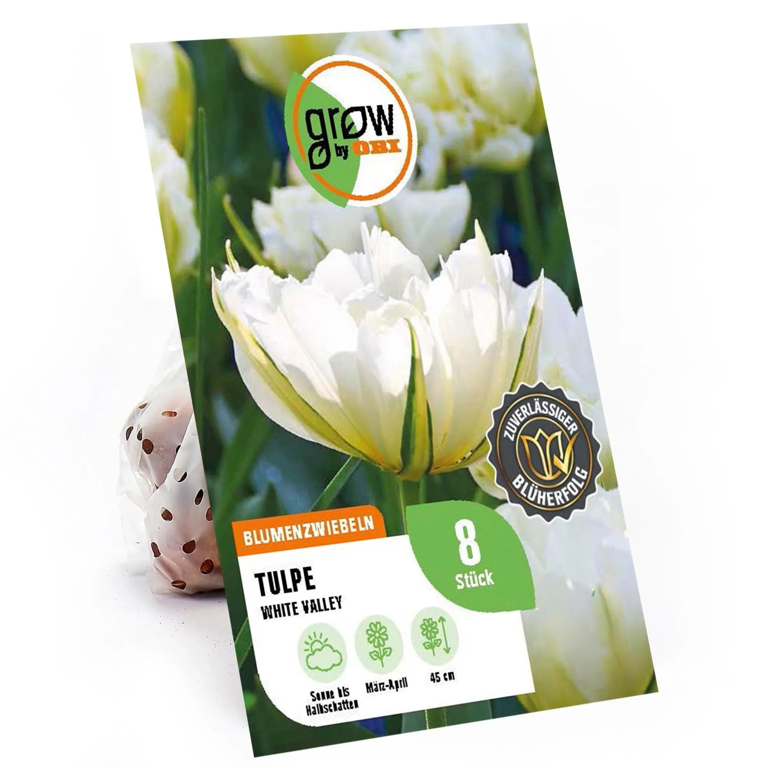 GROW by OBI Tulpen White Valley Weiß 8 Stück 11/12