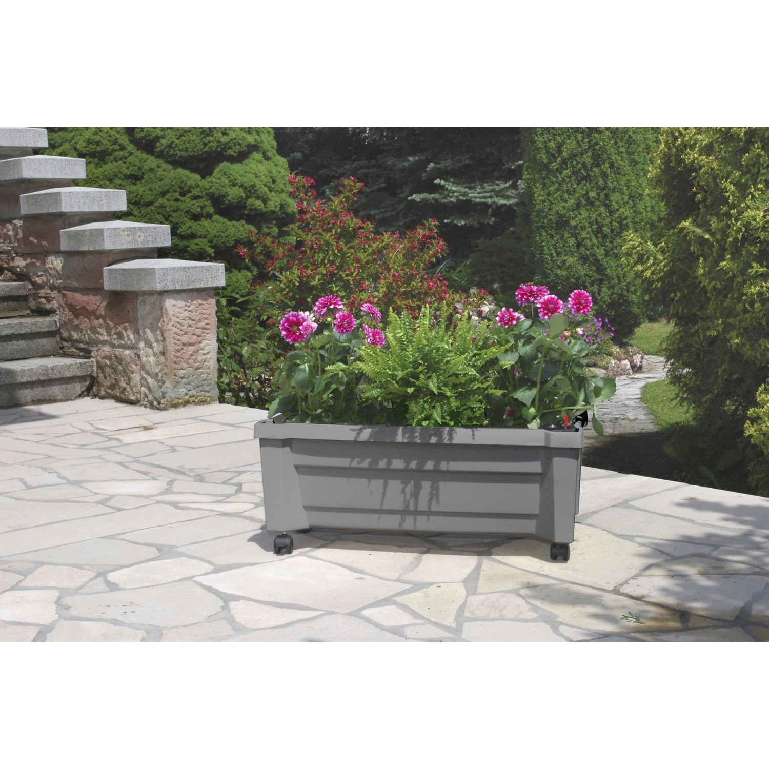 Grauer KHW Pflanzkasten Calypso mit Rollen und Bewässerungssystem, bepflanzt mit Blumen.
