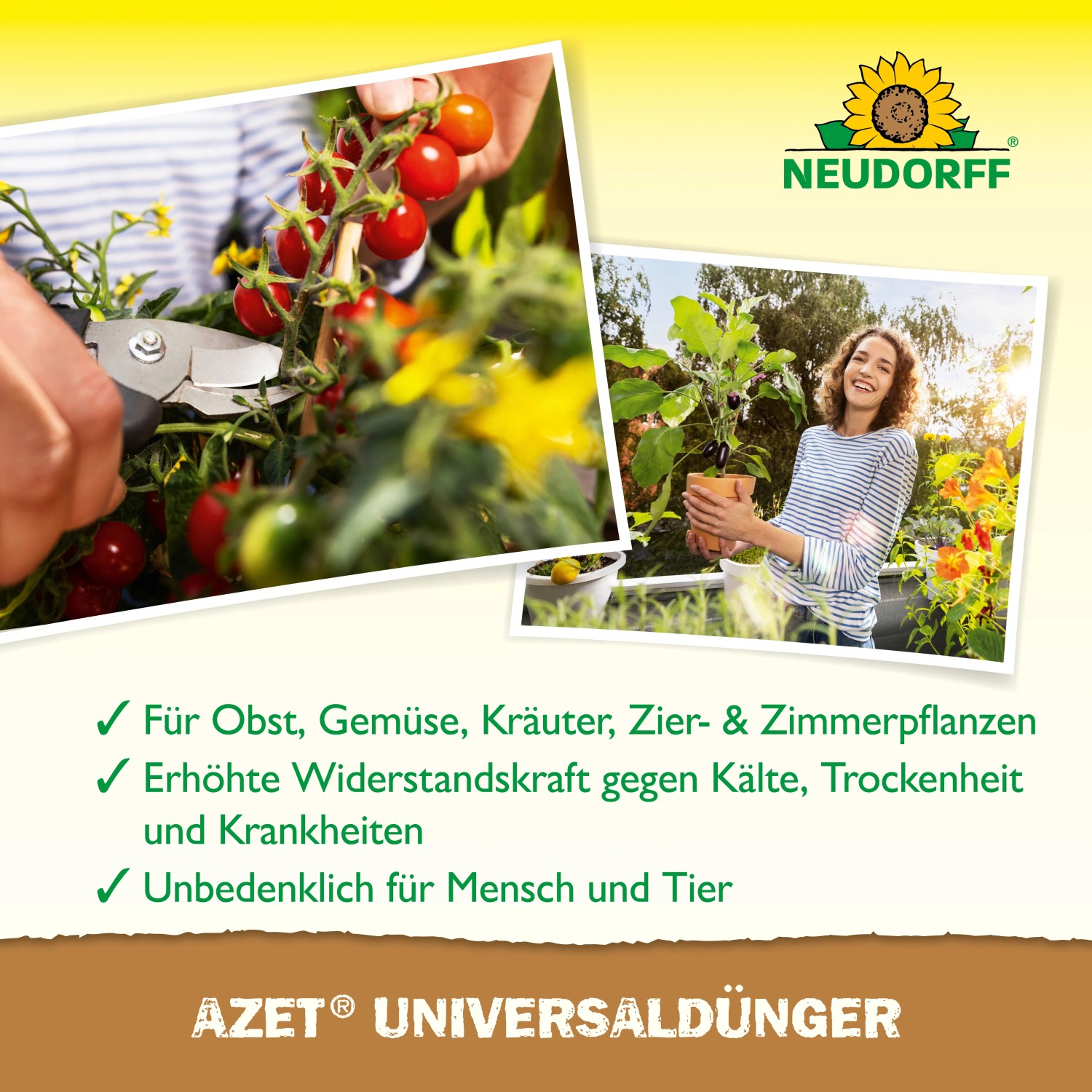 Neudorff Azet Veggie-Dünger: Flüssiger Gemüsedünger für gesundes Pflanzenwachstum im Garten.